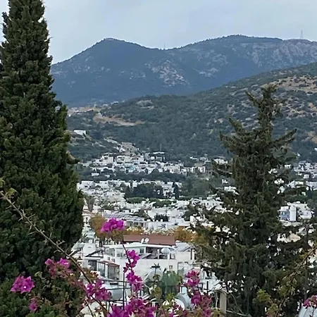 Izan Bakis Lejlighedshotel 3*